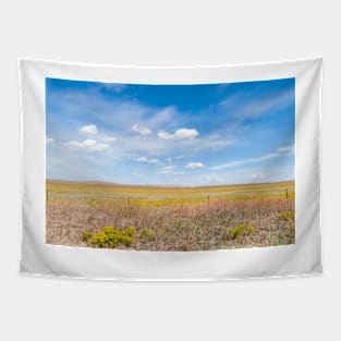 American rural landscape Tapestry