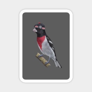 Rose-breasted Grosbeak Magnet