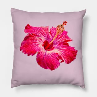 Hibiscus Summer Print Pillow