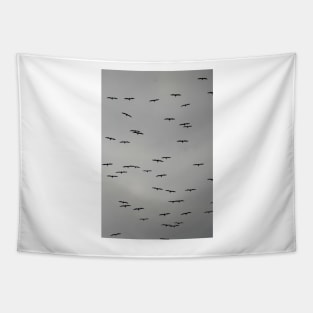 Birds in Flight on a Cloudy Day Tapestry