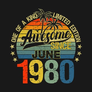 Vintage 42 Years Old June 1980 Decorations 42nd Birthday T-Shirt