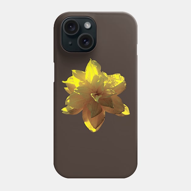 Daffodils - Closeup of Yellow Daffodil Phone Case by SusanSavad