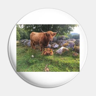 Scottish Highland Cattle Cow and Calf 1804 Pin
