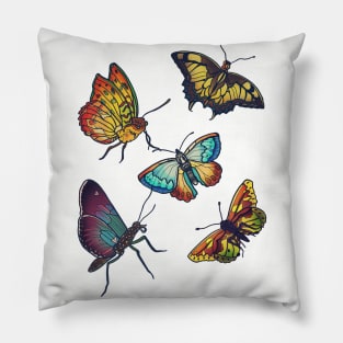 Butterflies and Moths Pillow