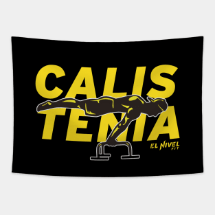 CALISTENIA Front Lever Silueta Tapestry