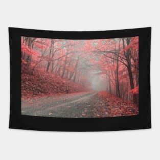 Misty Forest Road - Tickle Me Pink Tapestry