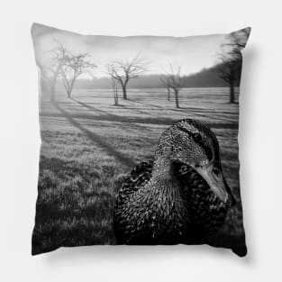 black and white duck, and country landscape Pillow