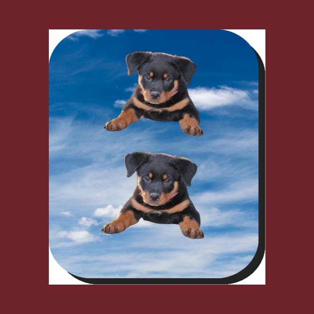 puppies on the blue rectangular background by KA&KO
