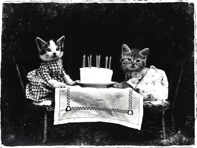 Vintage Kitty Birthday Photo Kids T-Shirt by AlondraHanley