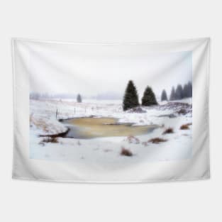 A Winter Scene Tapestry