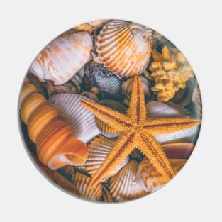 Starfish Beach Summer Travel Shells Pin