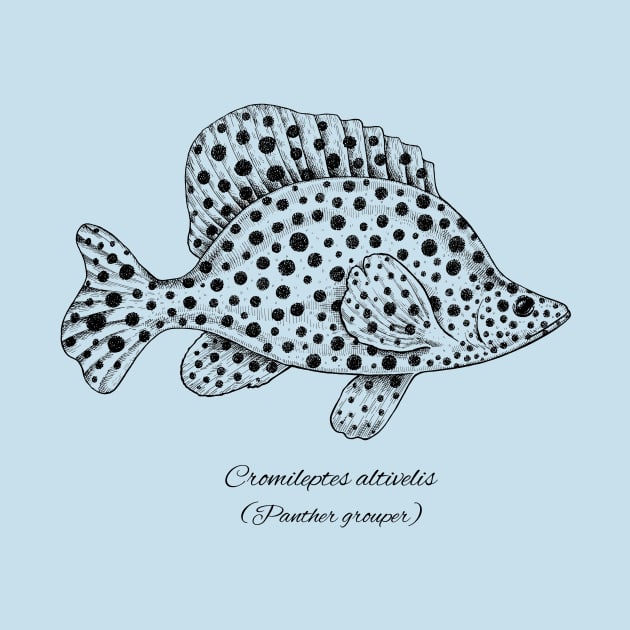 Cromileptes altivelis by eugeniahauss