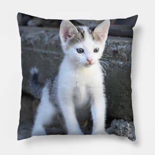 Kitty IV Pillow