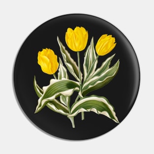 Variegated yellow Tulips - botanical illustration Pin