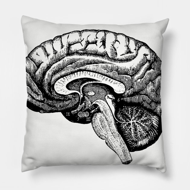 Vintage illustration of a human brain Pillow by mike11209