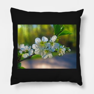 Cheery Blossoms Pillow