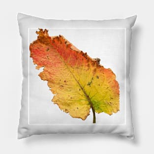 Leaf Pillow