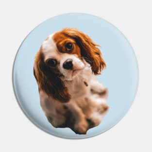 Cocker spaniel Pin