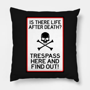 Is there life after death? Trespass here and find out Pillow