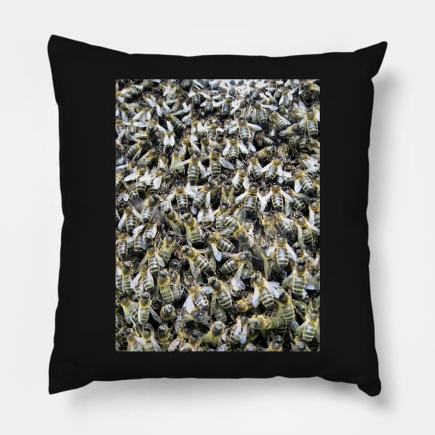 The Swarm Pillow by WesternExposure