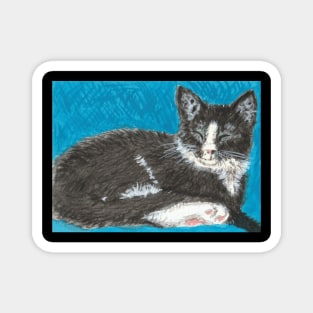 Luna Tuxedo kitten cat Magnet