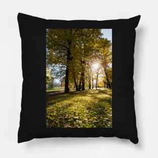 Autumn in Helsinki Pillow