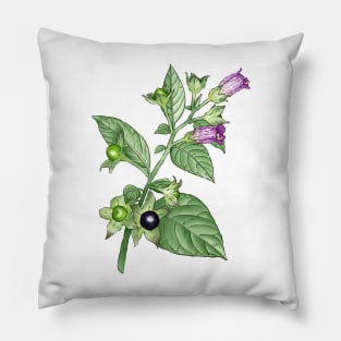 Deadly Nightshade ~ Atropa Belladonna Pillow