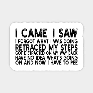 i came, i saw i forgot what i was doing retraced my steps got distracted on my way back have no idea what's going on and now i have to pee Magnet