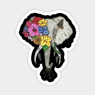 Elephant Color Magnet