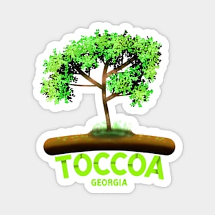 Toccoa Georgia Magnet