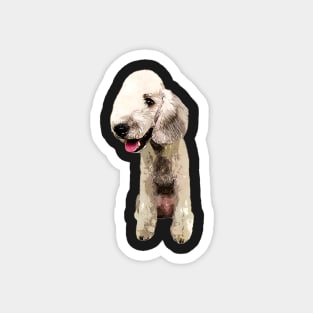 Bedlington Terrier Cute Pup Magnet