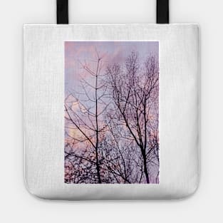 Barren trees ~ evening sky Tote