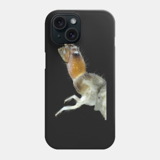 Insect larva under the microscope Phone Case