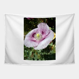 Poppy flower Tapestry