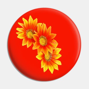 Three Bright Colored Gazania Flowers Vector Art Cut Out Pin