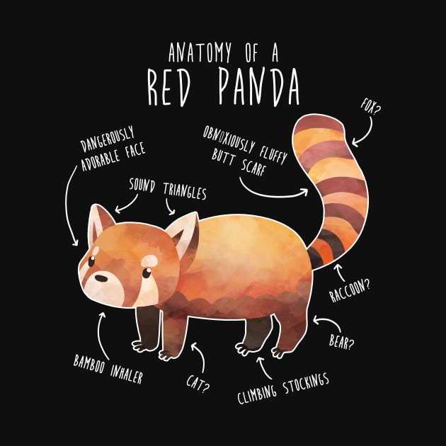 Red Panda Anatomy by Psitta