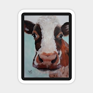 Curious Cow Magnet