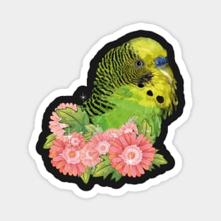 Australian parakeet Magnet