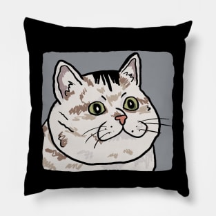 Sad cat Pillow