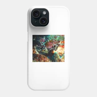 Banded Coral Shrimp Phone Case