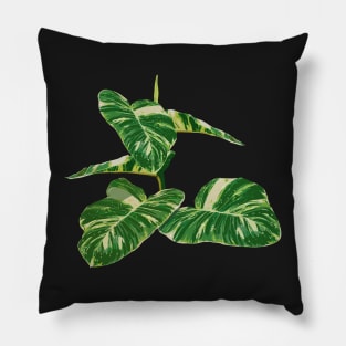 Epipremnum aureum plant Pillow