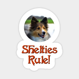 Shelties Rule! Magnet