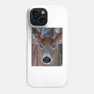 Mirrored - White-tailed deer Phone Case