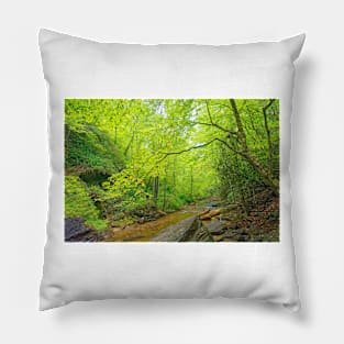 Gentle Stream Through the Woods Pillow