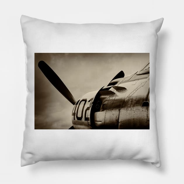 Skyraider Pillow by richard49