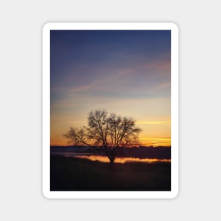 lone autumn tree Magnet