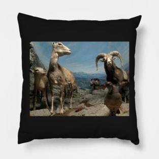 Natural environment diorama - steinbocks Pillow