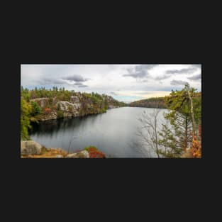 Lake Minnewaska Panorama T-Shirt