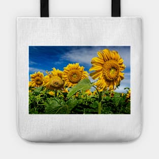 Sunflowers 3 Tote