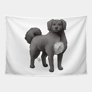 Dog - Wetterhoun - Black Tapestry